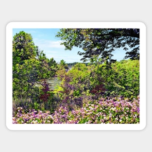 Niagara Falls, NY - Wildflowers on Three Sisters Islands Sticker